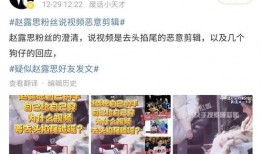 娱记狗仔爆料视频大全最新,揭秘娱乐圈幕后真相